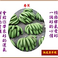 922102.5.28香蕉已成熟1 - 複製.jpg