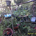 DSCF0018.JPG