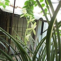 IMG_6069.JPG