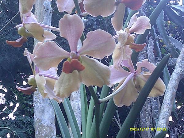 DSCF0004.JPG