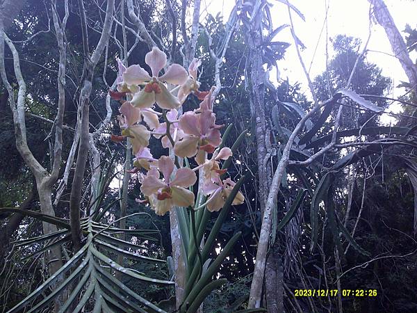 DSCF0001.JPG