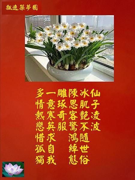 水仙花.jpg