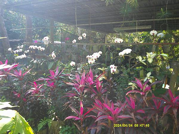 DSCF0006.JPG