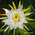 DSCF0006.JPG