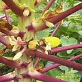 DSCF0030.JPG