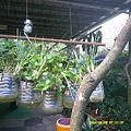 DSCF0002.JPG