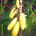DSCF0001.JPG