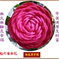 922101.3.2紅六角2.jpg