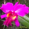 DSCF0001.JPG