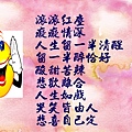 344.jpg