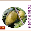 22100.1.7仙桃.jpg