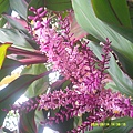 DSCF0004.JPG