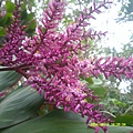 DSCF0003.JPG