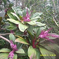 DSCF0002.JPG