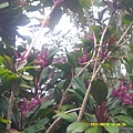 DSCF0005.JPG