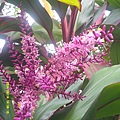 DSCF0004.JPG