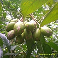 DSCF0014.JPG