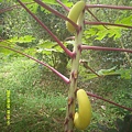 DSCF0001.JPG