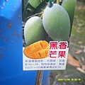 DSCF0002.JPG