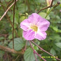 DSCF0002.JPG
