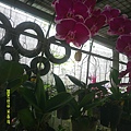 DSCF0007.JPG