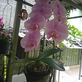 DSCF0001.JPG