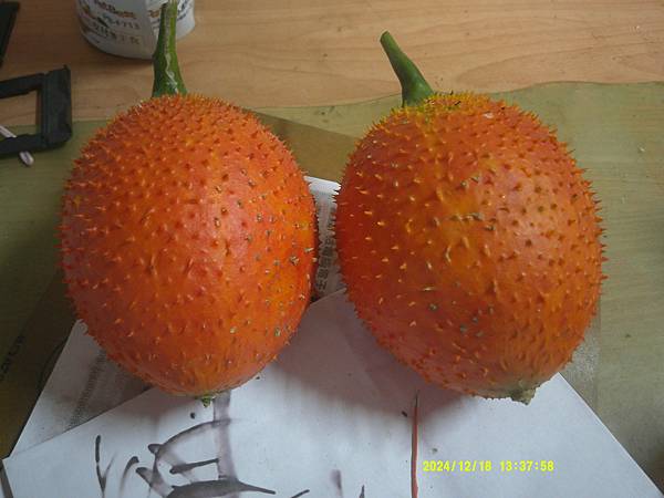 DSCF0017.JPG
