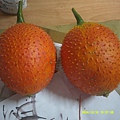 DSCF0017.JPG