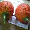 DSCF0018.JPG