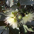 DSCN4576.JPG