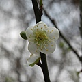 IMG_1289.JPG