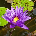 1003PA160021.JPG