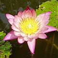 1003PA160022.JPG