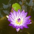 1003PA160023.JPG
