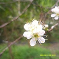 DSCF0014.JPG