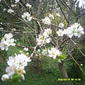 DSCF0018.JPG