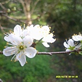 DSCF0005.JPG