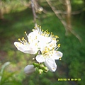DSCF0006.JPG
