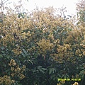 DSCF0011.JPG