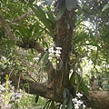 DSCF0002.JPG