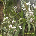 DSCF0001.JPG