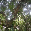 DSCF0006.JPG