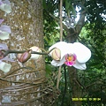 DSCF0009.JPG