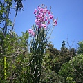 DSCF0001.JPG