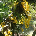 DSCF0013.JPG