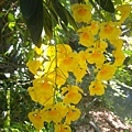 DSCF0011.JPG