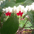 DSCF0012.JPG