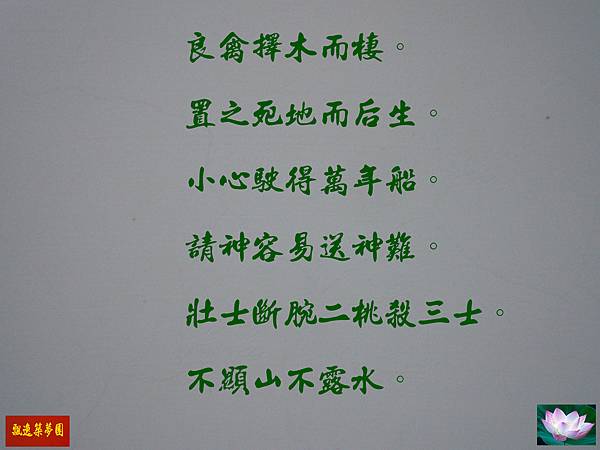 Photo Editor_93007.jpg