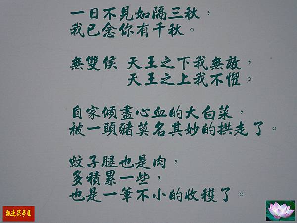 Photo Editor_33007.jpg