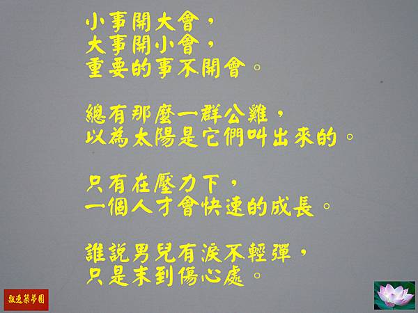 Photo Editor_13007.jpg